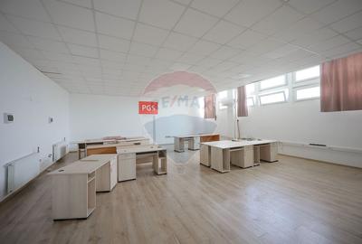 De vanzare spatiu industrial PGS Sofa, calea Borsului - 29