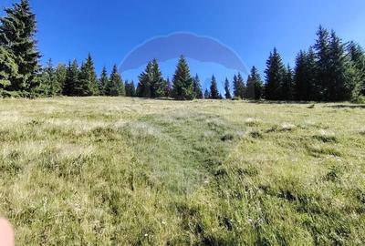 Teren extravilan de 47732 mp, în Panaci - 10