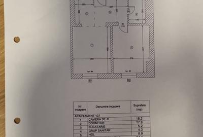 Apartament cu 2 camere semidecomandat, mobilat în Dristor - 10