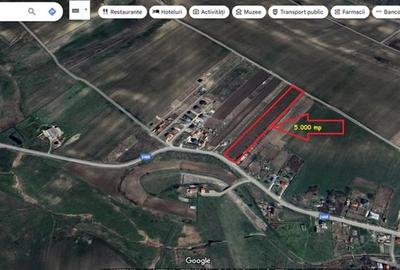 Teren 5.000 mp Vinatori