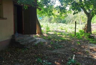 Casă individuală cu 3 camere cu Teren 500 Mp în 6 Vânători - 9