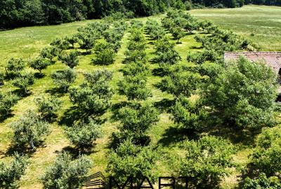 Teren extravilan 5000mp zona Cisnadie - 1