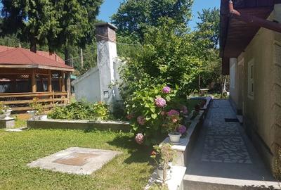 Casă cu 9 camere cu Teren 1308 Mp în Nord-Est - 6