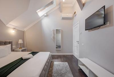 Vindem Afacerea ! Mini Hotel + Cafenea/ Restaurant ! Parcul Carol ! - 47