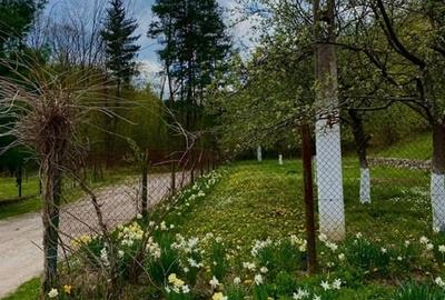 Teren intravilan 5660 mp - 4