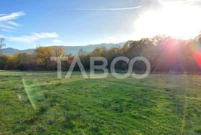 Teren de vanzare 17.000 mp in vecinatatea padurii Dumbrava - 2