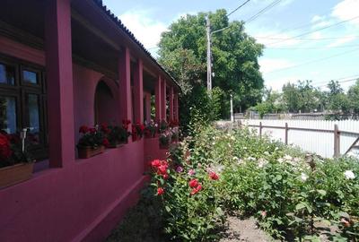Casă cu 3 camere în Trifești - 4