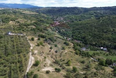 Teren de vanzare in Campulung-Muscel -  33598 mp - 6
