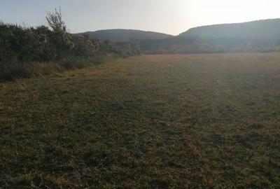 Teren de 3200 mp, în Bănești - 9