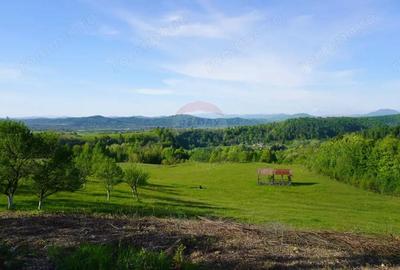 Teren 15,000mp Sighetu Marmatiei / Strada Mocani?ei - 2