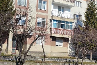 Apartament de vanzare Fieni - 3