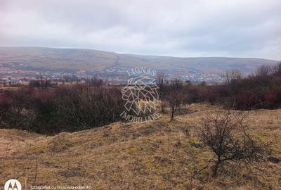 Teren agricol intravilan de 8500 mp, în Chinteni - 2