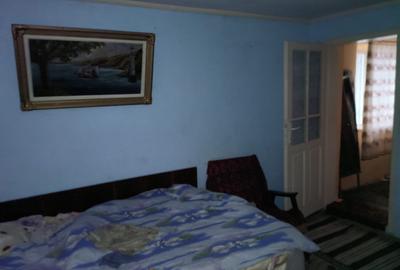 Casă individuală cu 2 camere cu Teren 25000 Mp în Cozia - 4