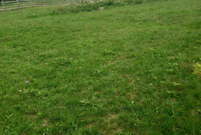 Casă cu 2 camere în Măguri - 2