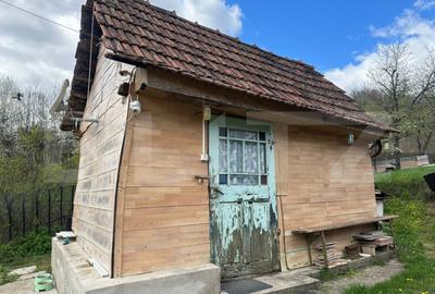 Casă cu 4 camere cu Teren 12186 Mp în Boiu - 14