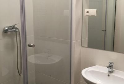 Apartament cu 2 camere decomandat, mobilat în Nicolae Grigorescu - 6