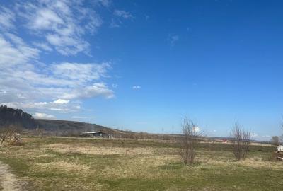 Casa 3 dormitoare, 128mp, 4750mp teren, piscina, cuptor de paine , Casolt - 15