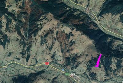 Teren Vatra Dornei - 1