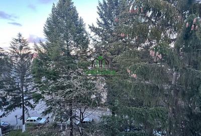 Teren de 800 mp, în Nord - 1