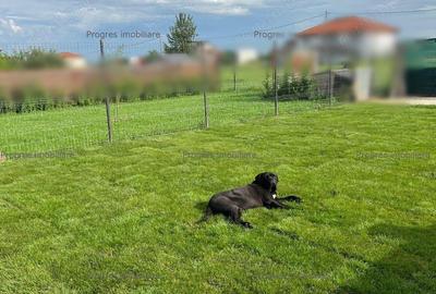 Duplex 3 camere - 169.000 euro negociabil - 2