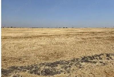 Teren de 16700 mp, în Periferie - 6