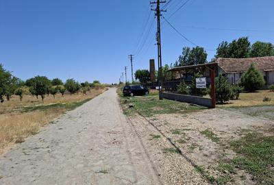Grajd pentru animale in Nadlac - 2