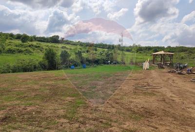 Teren Construcții intravilan de 1200 mp, în Săldăbagiu de Munte - 15
