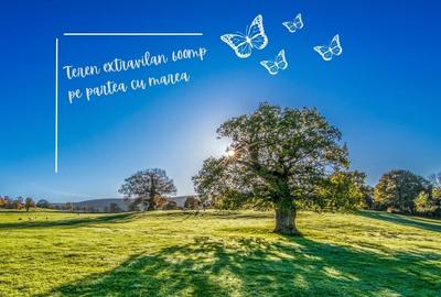 Teren agricol extravilan de 600 mp, în 23 August - 5