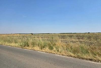 Teren de 4300 mp, în Smârdioasa - 8