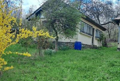 Casă cu Teren 2671 Mp în Plai