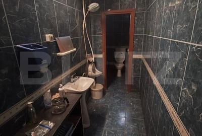 Spațiu comercial, în Oncea - 13