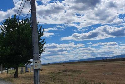 Spațiu comercial, în Letea Veche - 1