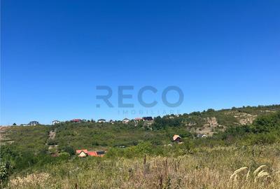 Teren de 4251 mp, în Dealuri Oradea - 3