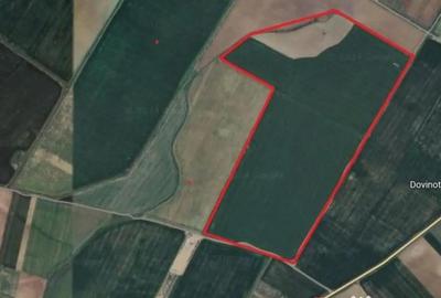 Teren de 343000 mp, în Mihăilești - 3