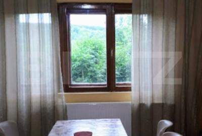 Casa cu piscina P+M, 458 mp teren, Leamna de Sus - 5
