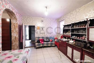 Casă cu 2 camere cu Teren 834 Mp în Cetariu - 9