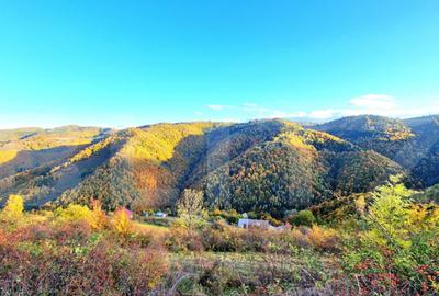 TEREN CU PANORAMA, strada principala, 9959mp, Marisel - 3