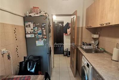 Teiul Doamnei, apartament 2 camere decom parter bloc 1982 - 9