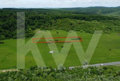 Teren de vanzare – 4.000 mp la intrare in Bradu, judetul Sibiu - 3