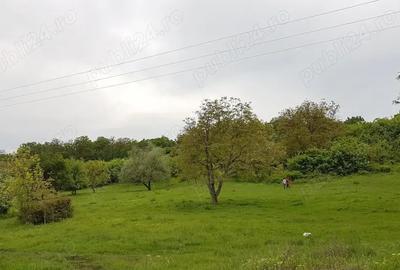 Teren de 38000 mp, în Central - 5