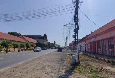 Teren de 2800 mp, în Lovrin - 14