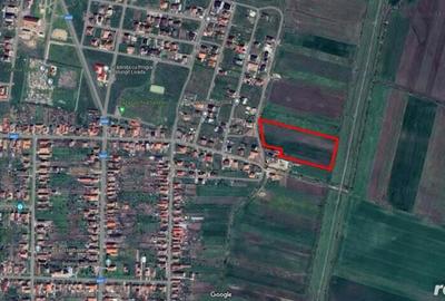 1,4 hectare teren de vanzare in Livada Arad - 3