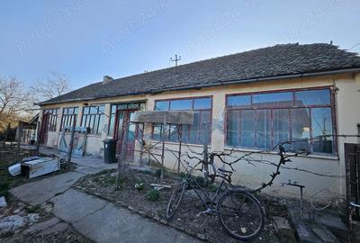 Casă cu 3 camere cu Teren 1088 Mp în Vinga - 2