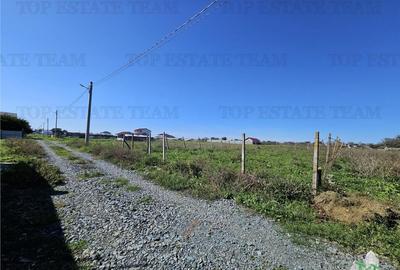 TEREN 500 MP COSTINESTI ZONA CASA BARINA - 3