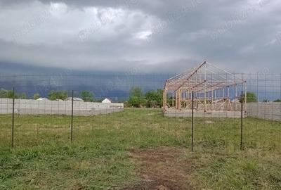 Teren de 1500 mp, în Rast - 1