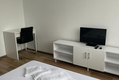 Garsonieră semidecomandată în Podu Roș - 7