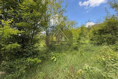 Teren intravilan, Medias - 6