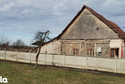 Casă cu 4 camere cu Teren 6153 Mp în Boldur