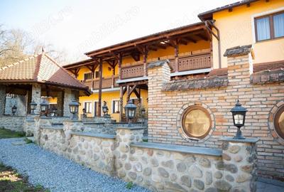 Casă cu 6 camere cu Teren 30000 Mp în Sovata - 9