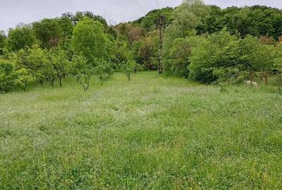 Spațiu comercial, în Central - 1